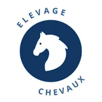 Icone chevaux