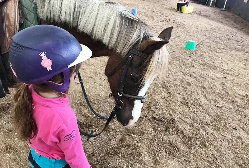 Cours et stages équestres