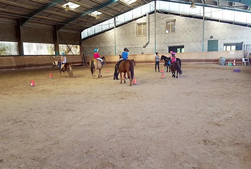 Cours d'équitation