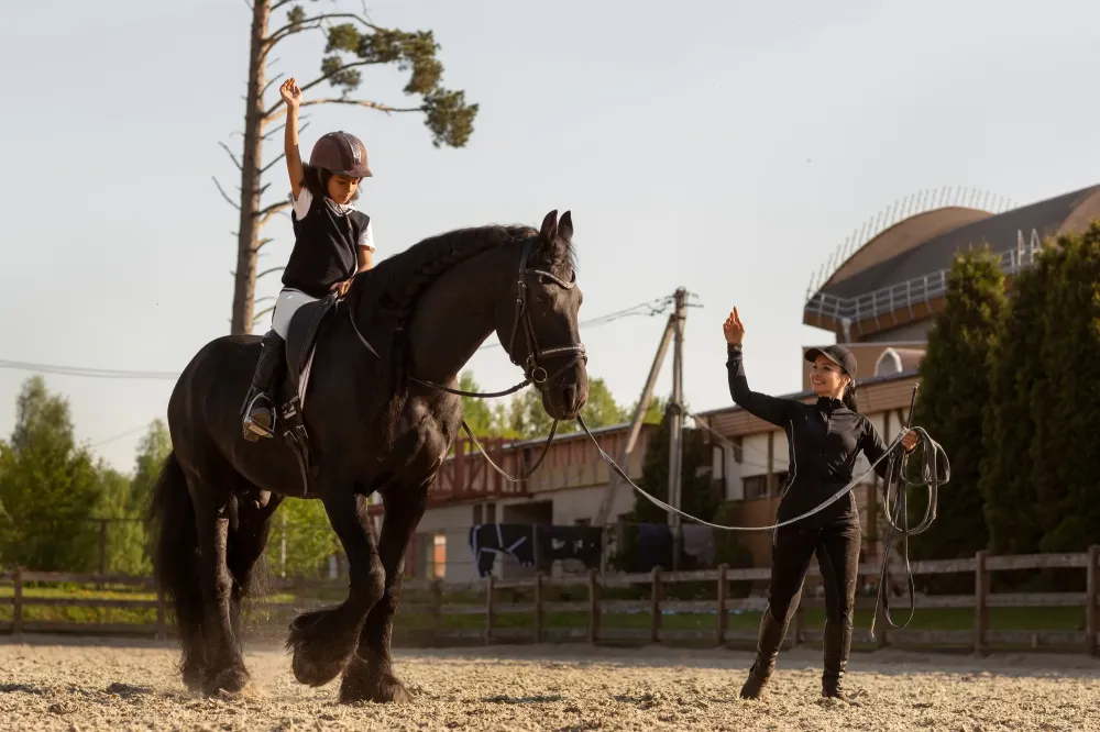 Cours d'équitation à Héry-sur-Alby