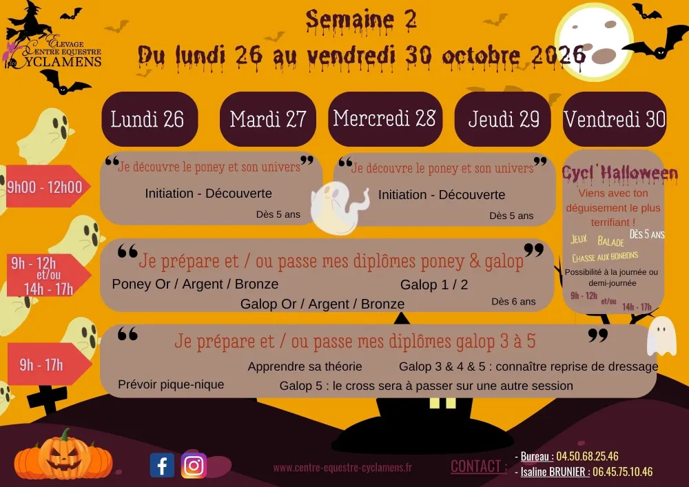 Toussaint 2026 - Semaine 2